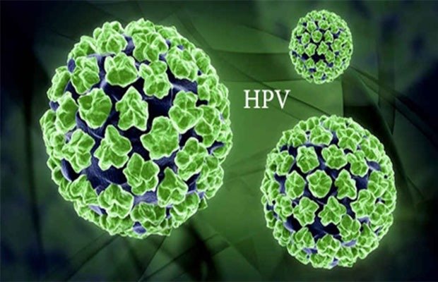 Nguyên nhân chính gây ra bệnh ung thư cổ tử cung là do virus Human Papillomavirus (HPV) - Ảnh 2