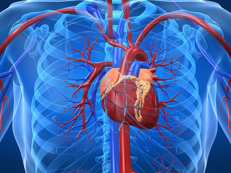 Khái niệm nhồi máu cơ tim là gì? Ảnh 1