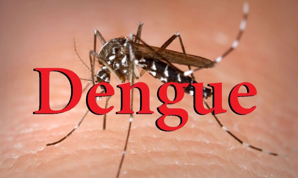 Nguyên nhân chủ yếu gây ra bệnh sốt xuất huyết là do virus có trong loài muỗi vằn - Ảnh 3