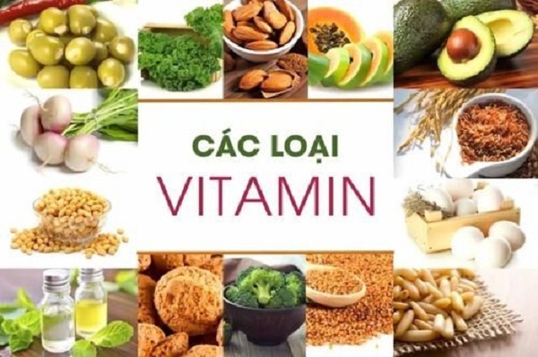 Vitamin được cung cấp từ nguồn thực phẩm nào? - Ảnh 3