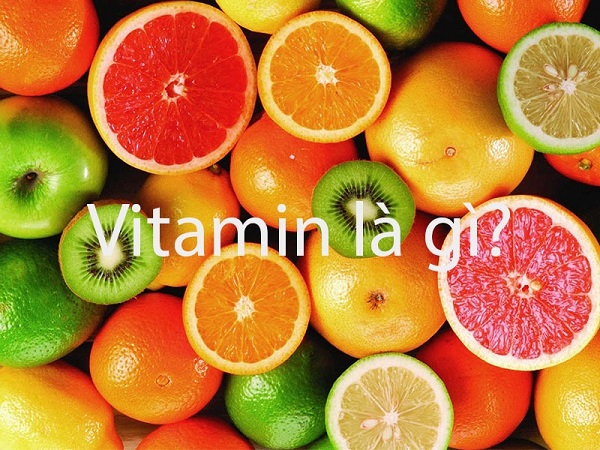 Vitamin là gì? - Ảnh 1