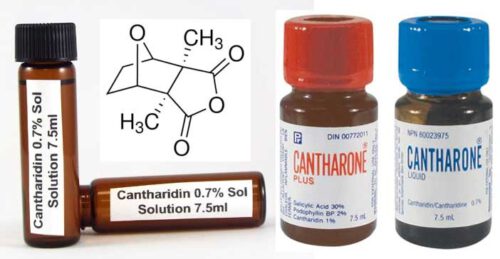 Cantharidin - Thuốc trị mụn cóc hiệu quả nhất - Ảnh 7
