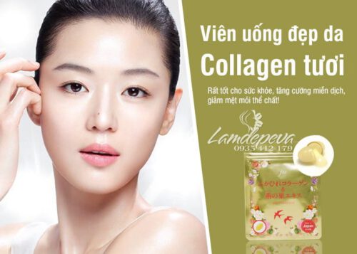 REVIEW collagen tươi của Nhật - Ảnh 6