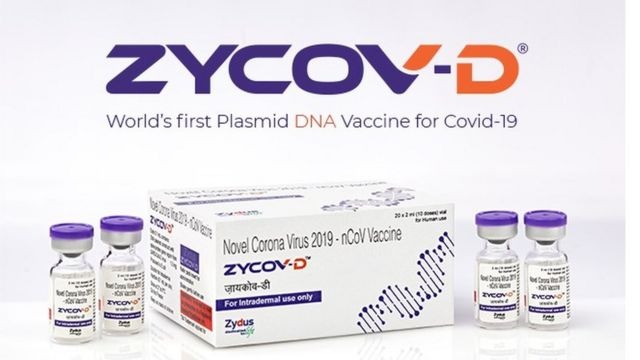 ZyCoV-D là vắc xin DNA đầu tiên cho người được chấp thuận ở bất kỳ đâu trên thế giới - Ảnh 1