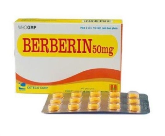 Thuốc Berberin là thuốc gì? - Ảnh 1