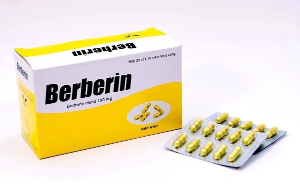 Thuốc Berberin là thuốc gì? Berberin có tác dụng gì? - Ảnh 2