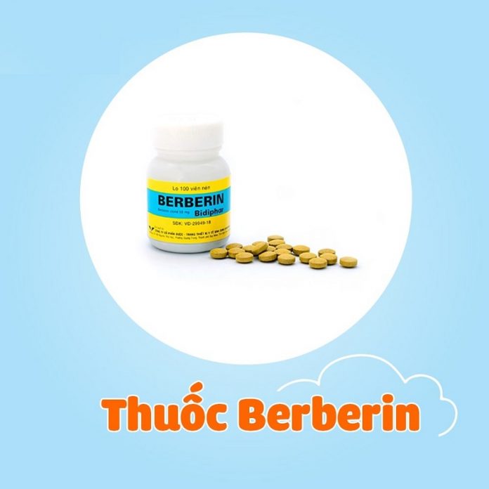 Thuốc Berberin là thuốc gì?