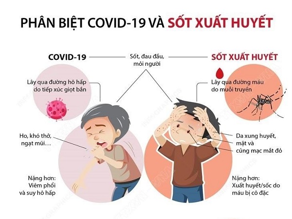 Phân biệt COVID-19 và sốt xuất huyết - 4Ảnh 3