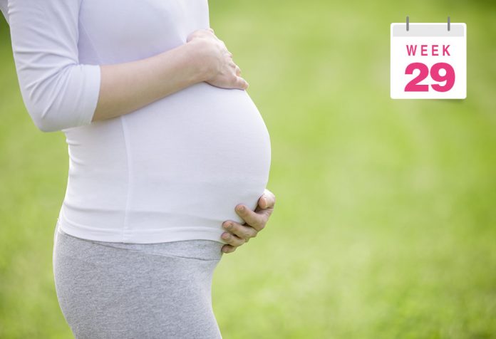 Thai 29 tuần: Sự phát triển của bé và thay đổi cơ thể mẹ