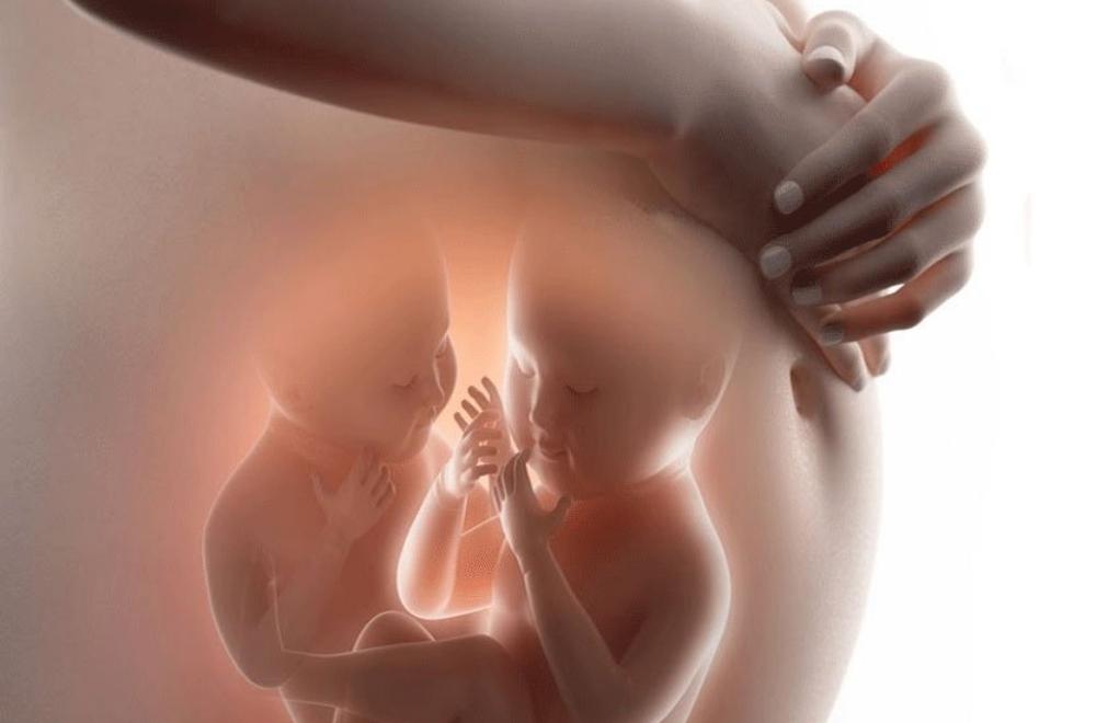 Mẹ mang song thai cũng ảnh hưởng đến cân nặng thai kỳ