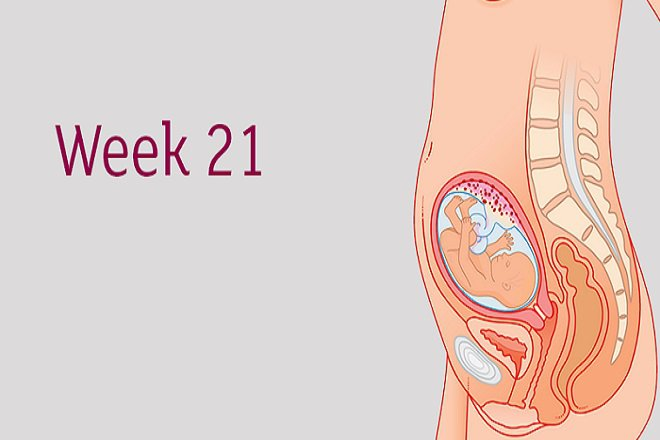 Em bé ở tuần thứ 21 dài khoảng 10,5 inch và nặng khoảng 12,7 ounce