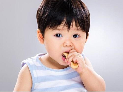 Tập ăn bánh ăn dặm giúp bé phát triển khả năng cầm, nắm, nhai